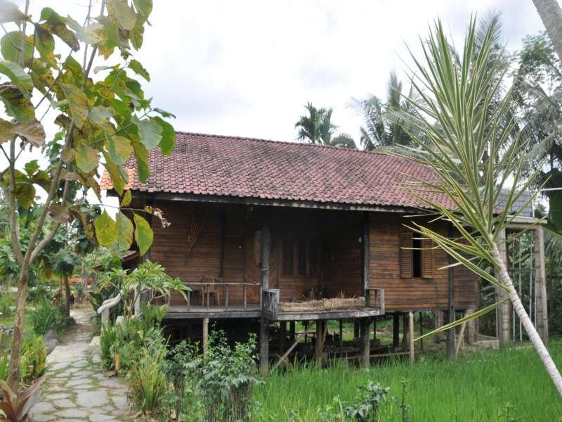 The Pikas Resort Wonosobo Luaran gambar